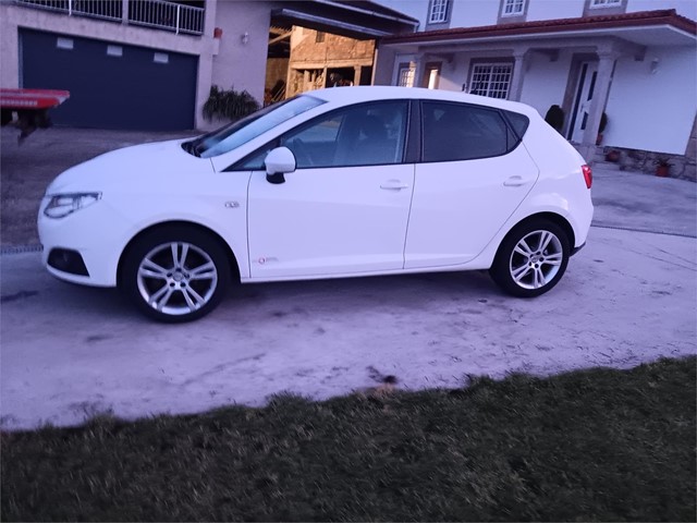 Seat Ibiza copa
