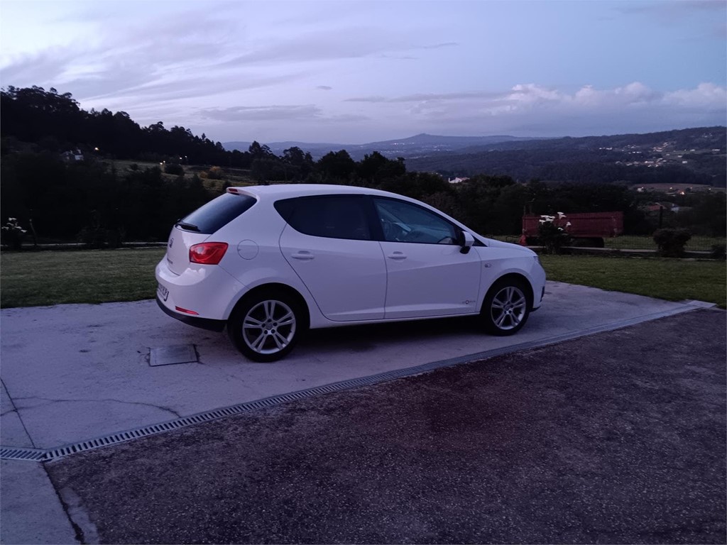 Foto 2 Seat Ibiza copa