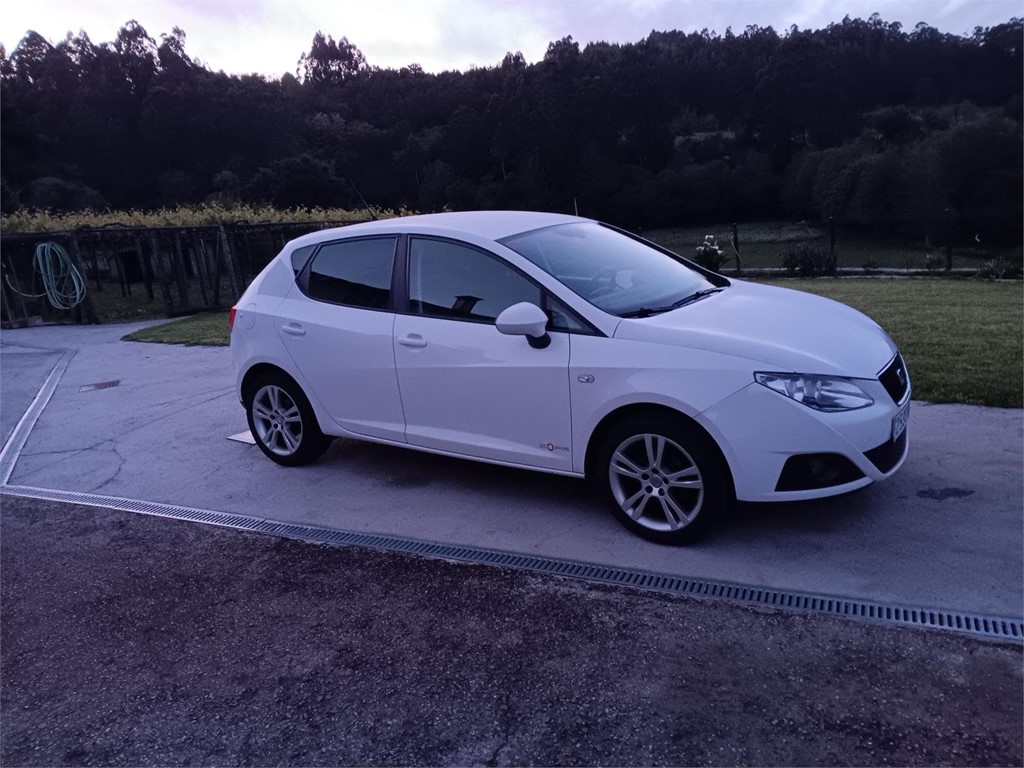 Foto 4 Seat Ibiza copa