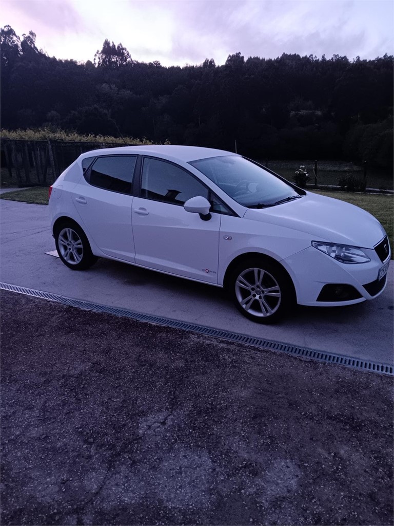 Foto 5 Seat Ibiza copa